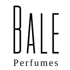 fallback text for an image