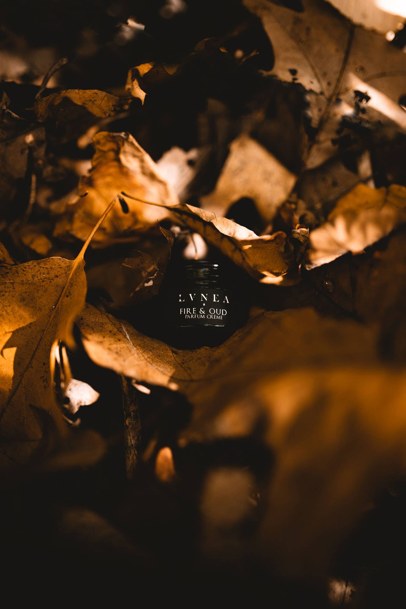 FIRE & OUD Solid Perfume | Agarwood, cedar, smoke