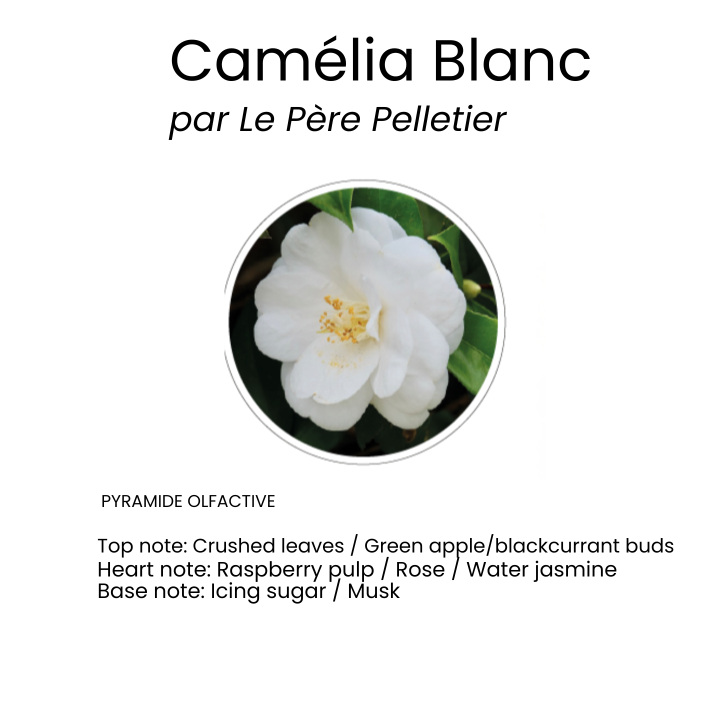 Scented Interior Powder