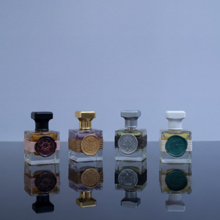 The Witcher Discovery Set